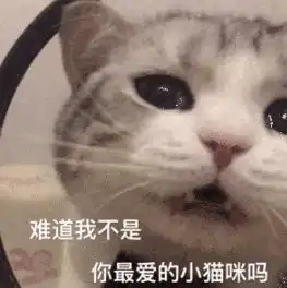 离家出走被抓回来是种什么体验