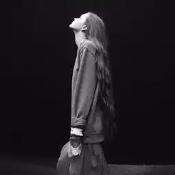 谁有这个图的高清大图