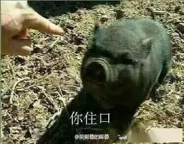 炸毛表情包图片住口