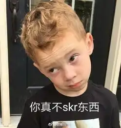 组图吴亦凡又带火skr网友科普使用此词的正确姿势