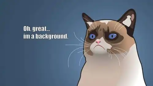 curiositykilledthecat,猫虽有九条命,但好奇却能害死它