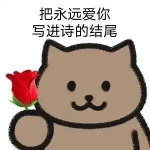 禁止emo表情包姓氏