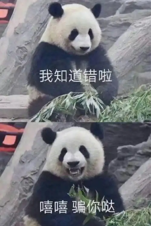有没有表示安慰对方,心疼对方的表情包