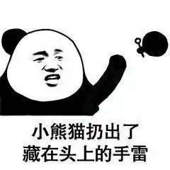 表情包小熊猫整理了一下新发型