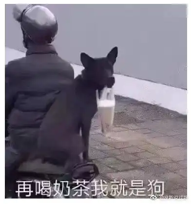 表情包flag小狗竟是我自己