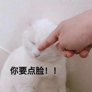 2020最新的表情包会动还特别污的表情包