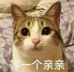 小猫鬼畜表情包