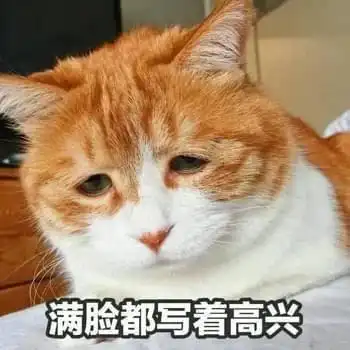 不过是一只小猫咪,怎么能做出那么丰富的表情