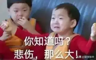美嘉留学加盟艺考来袭最烧钱的15个大学专业,你敢选吗中国加盟网
