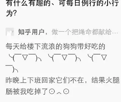 幽默搞笑段子集猫发现被偷拍,瞬间反应的表情笑到胃疼,哈哈哈