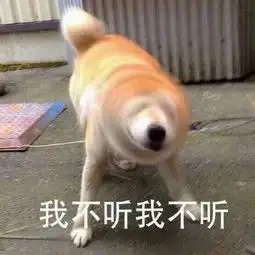 姜还是老的辣,这逼婚都逼出新境界了...