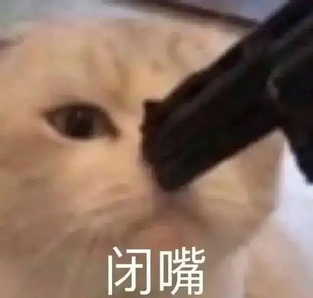 萌宠表情包我多处几个男朋友怎么了