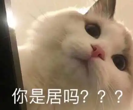 有什么文案证明自己是沙雕文案大户