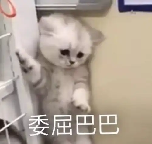 痘痘黑头闭口...困恼你十几年的皮肤问题,这回终于可以解决了