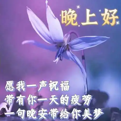 晚上好图片,晚安问候祝福语,晚上好问候表情包