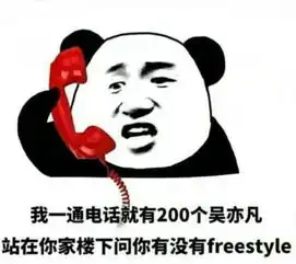 freestyle表情包