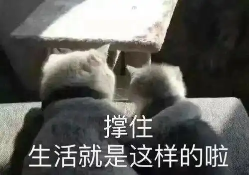 你看过的最好看的无cp快穿小说