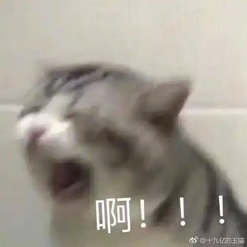 我的收藏夹