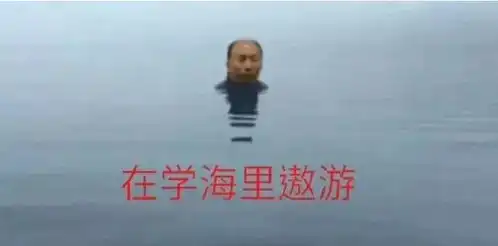 一人我饮酒醉表情包复习