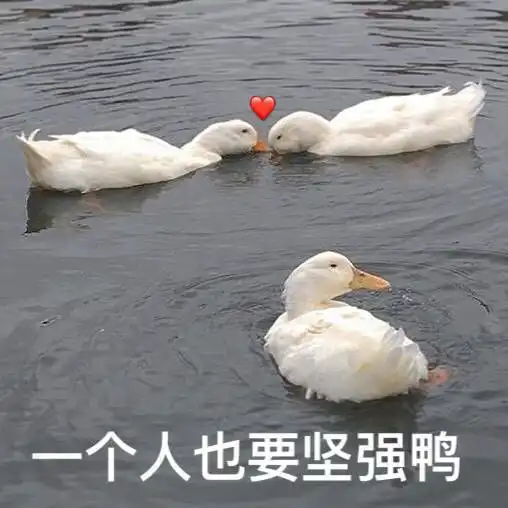 伊周素人改造堪比整容的时髦术