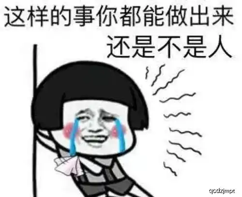 每日幽默段子听说主人晕倒,狗狗会求救,可她忘了养的是公泰迪