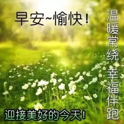 生活要说给自己听,才能过得心安,早安