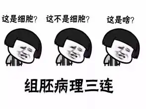 医学生三连专用表情包