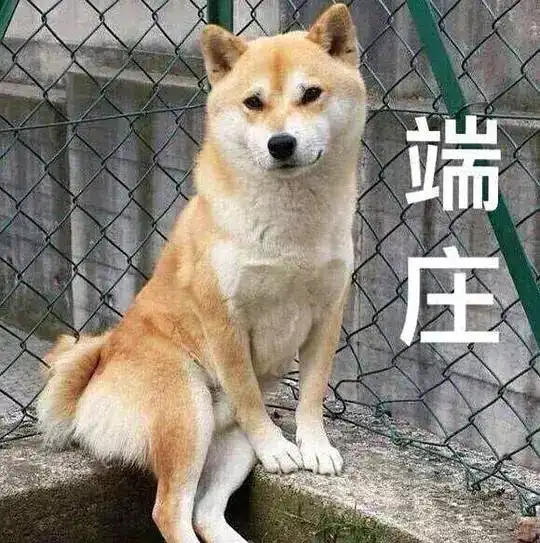 希望大家好好上班,存钱迎接11月17日活动
