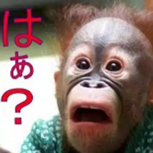 说这些日语会被打说话不可无脑啊