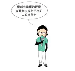刷过马桶的牙刷,还能给男朋友刷牙吗
