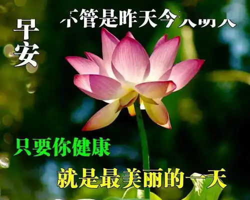 6月19日周五清晨早上好问候祝福动态表情图片6月最新早安问候祝福图片带字温馨
