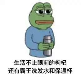 怎样看待叠纸公司发行的乙女向手游恋与制作人