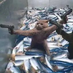 动漫情头一点喜欢后附几张猫咪呀