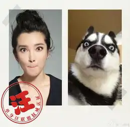 胃疼的表情包搞笑图片单