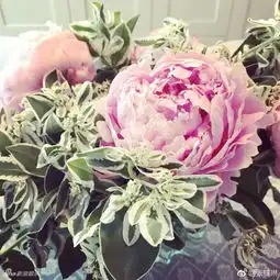 躲门后偷看的表情包张梓