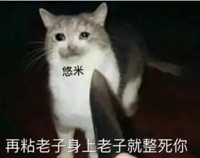 nononono猫表情包主人