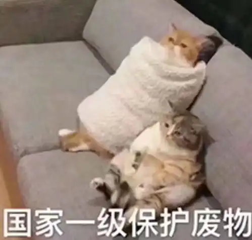 你是从哪首歌开始喜欢周杰伦的为什么呢