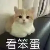 我不是笨蛋,你才是