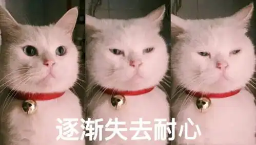 抖音球球表情包