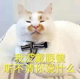 表情包营销,才是当今最skrskr的走红方式