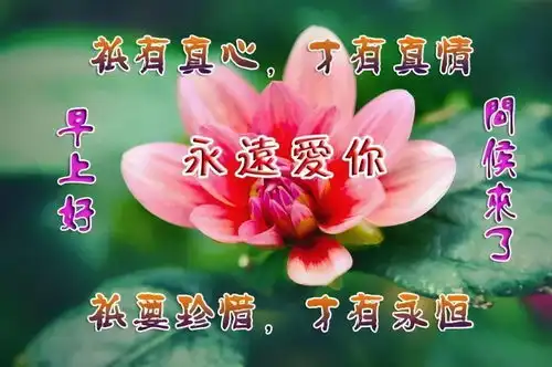 人生最美好的事,就是每一次醒来都是崭新的一天,早安
