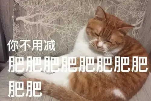 橘猫一失踪主人就找了好久,一抬头就笑出声了,喵还不扶朕下来
