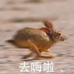 端午假期采摘正当时,不可错过的采摘园推荐