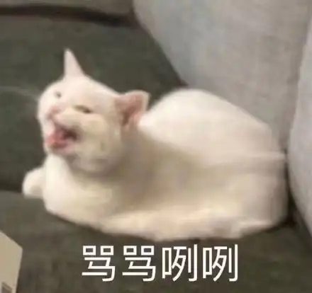 有被公司强制安排休年假的吗