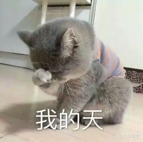 蓝猫图库动漫头像蓝猫