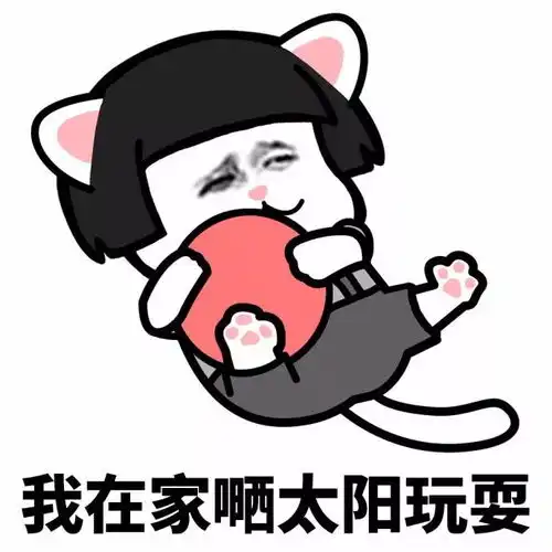 论幸福,女人是比不过猫的