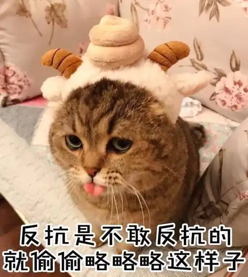 可爱萌猫说了这些搞笑的话