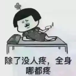 用一个表情包形容你的专业,简直了
