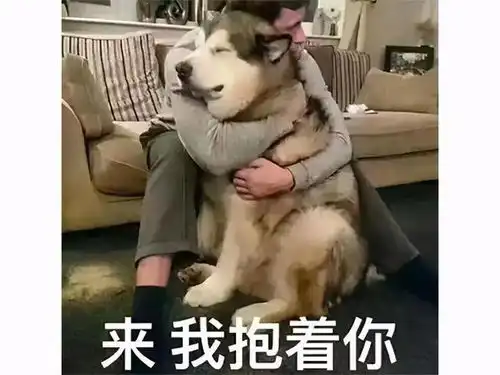 问候表情包小暑新年快乐