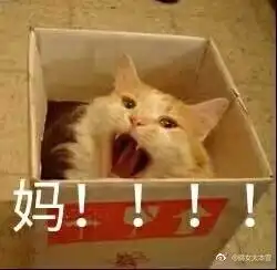 小妈的表情包